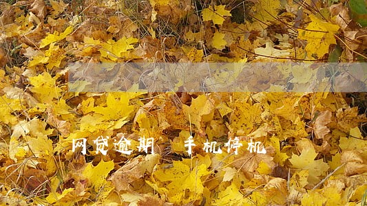 网贷逾期 手机停机 网贷逾期 手机停机